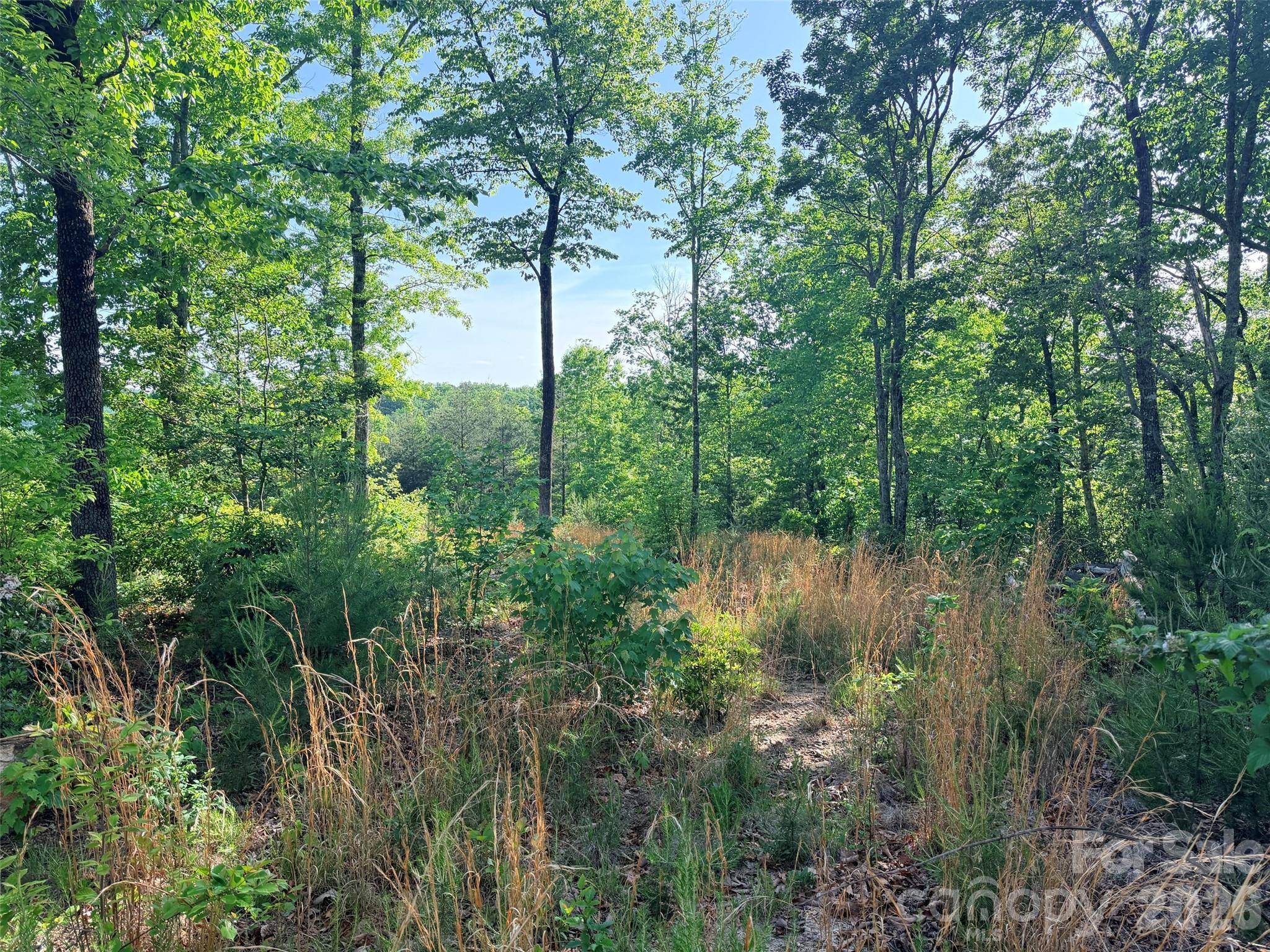 Lot 11 Brookside Parkway Lake Lure NC 28746