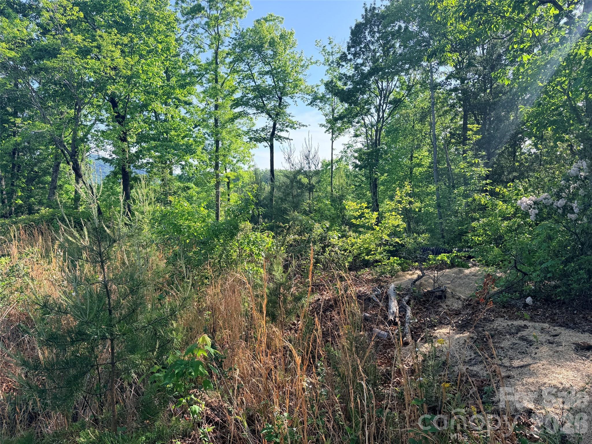 Lot 11 Brookside Parkway Lake Lure NC 28746