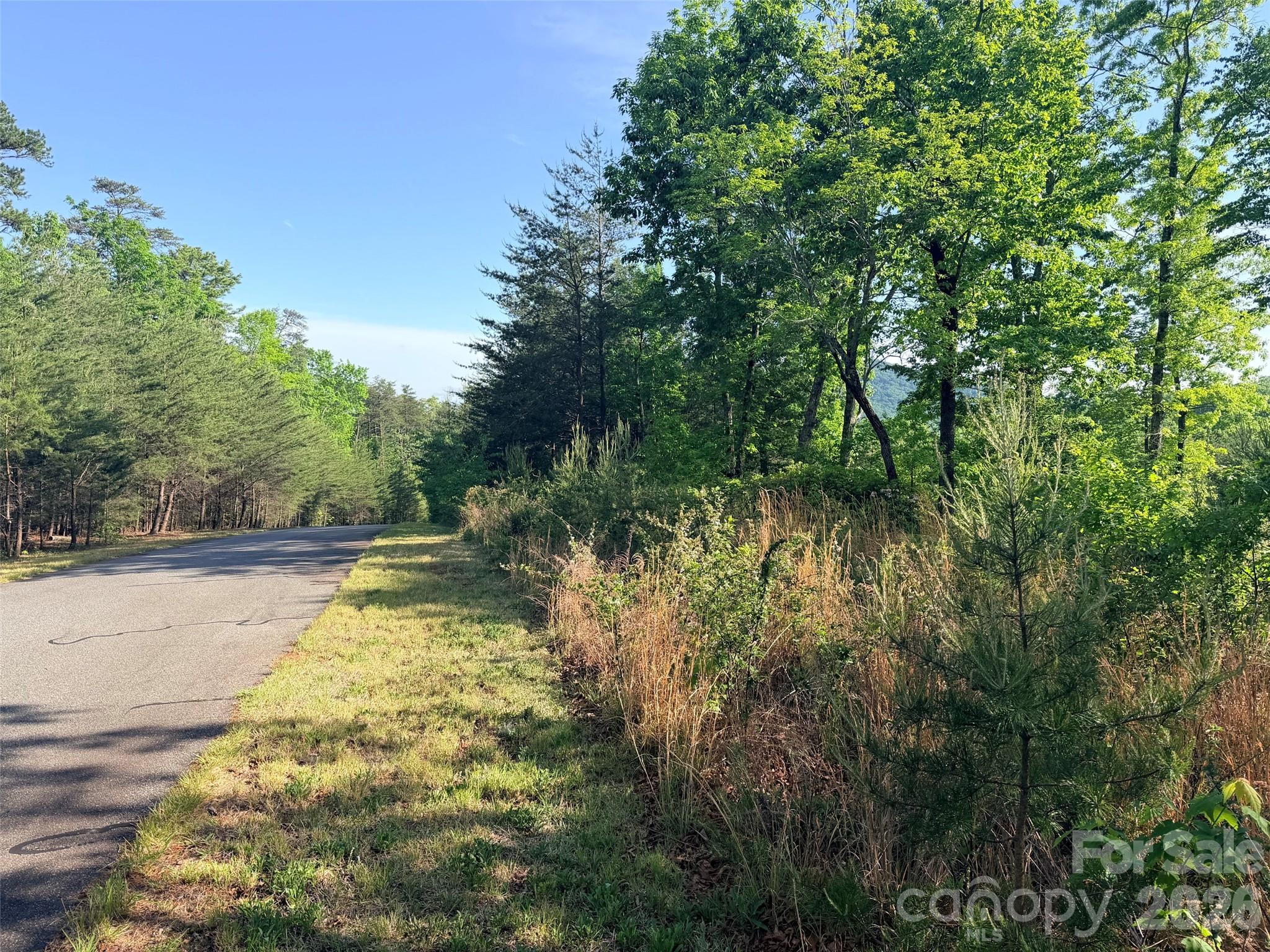 Lot 11 Brookside Parkway Lake Lure NC 28746