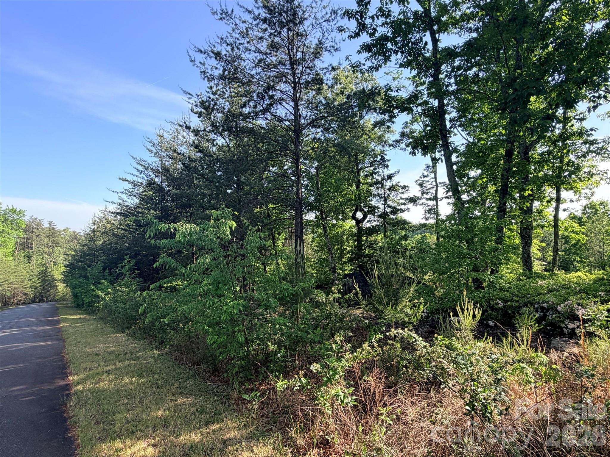 Lot 11 Brookside Parkway Lake Lure NC 28746