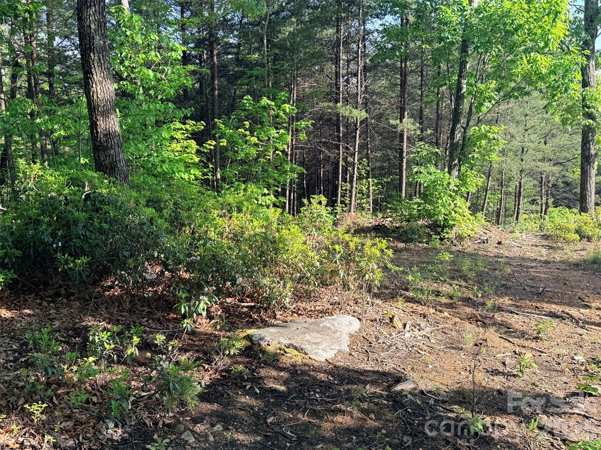 Lot 11 Brookside Parkway Lake Lure NC 28746