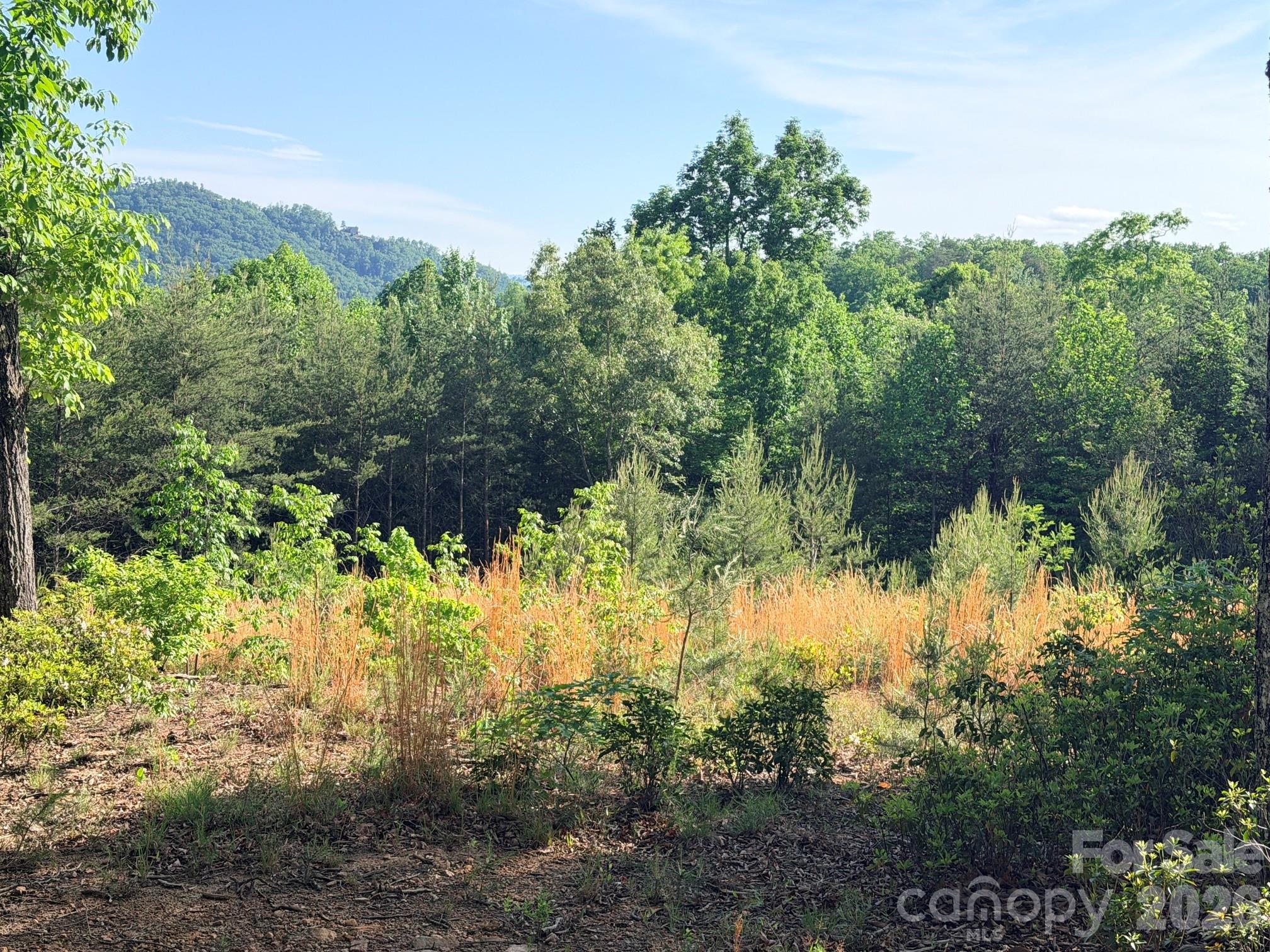 Lot 11 Brookside Parkway Lake Lure NC 28746