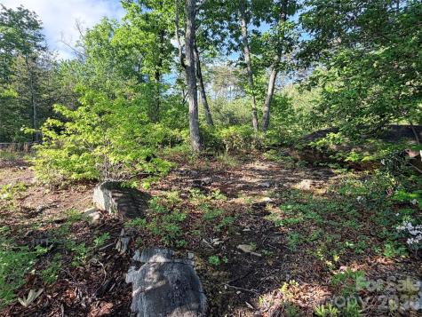 Lot 11 Brookside Parkway Lake Lure NC 28746