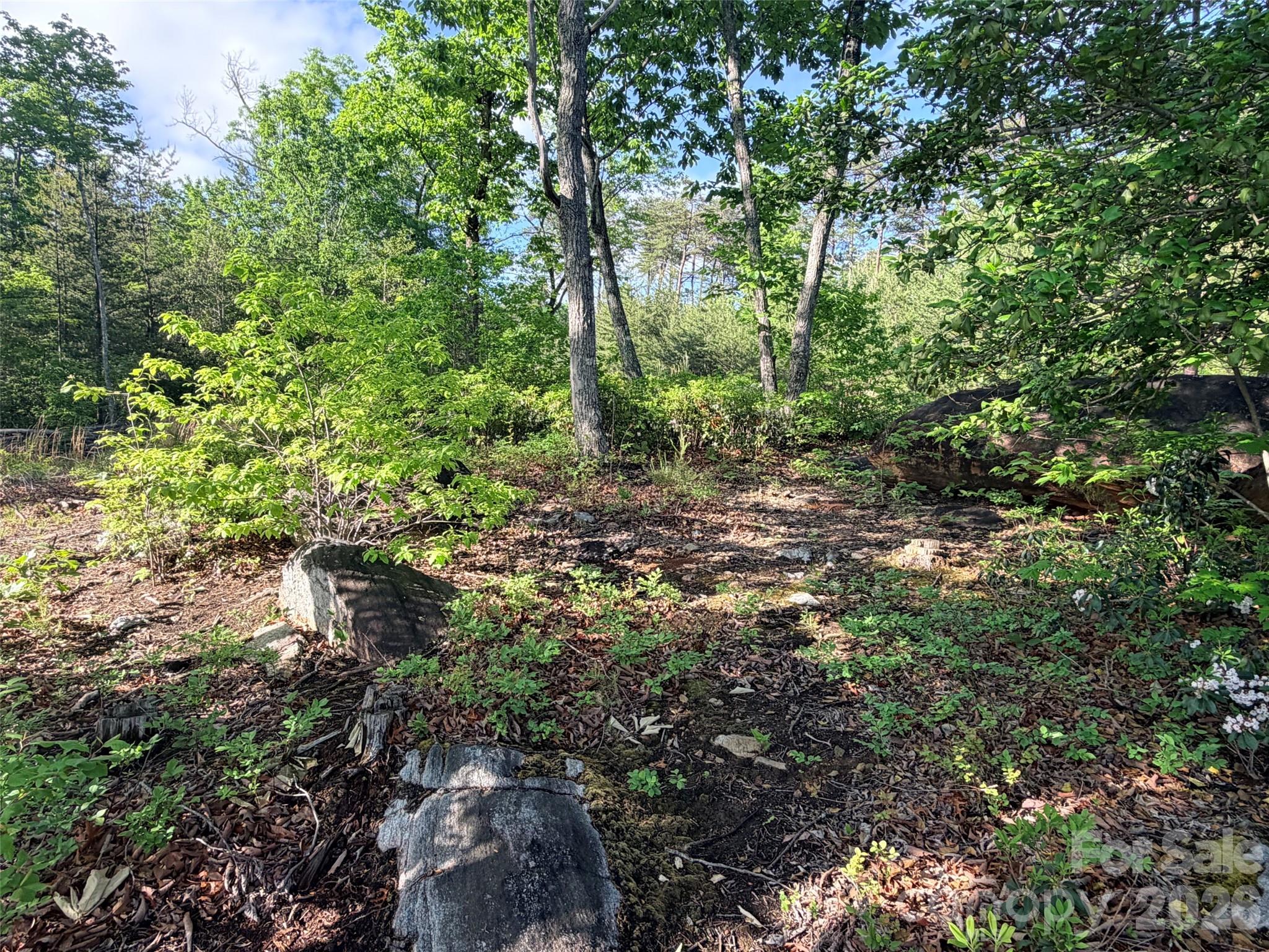 Lot 11 Brookside Parkway Lake Lure NC 28746