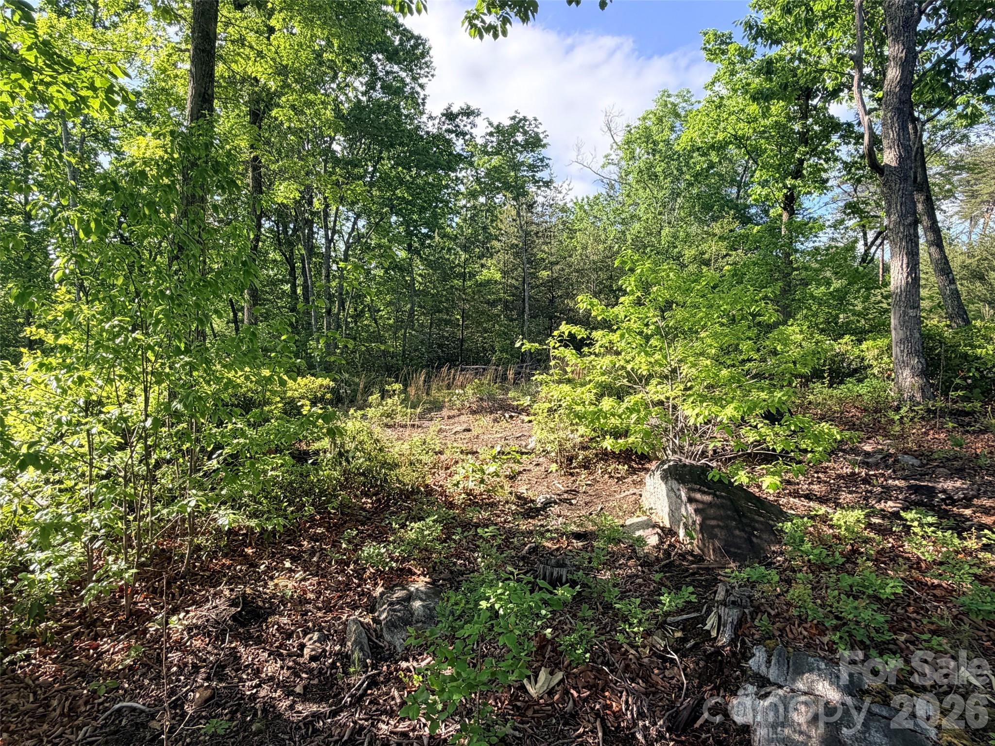 Lot 11 Brookside Parkway Lake Lure NC 28746