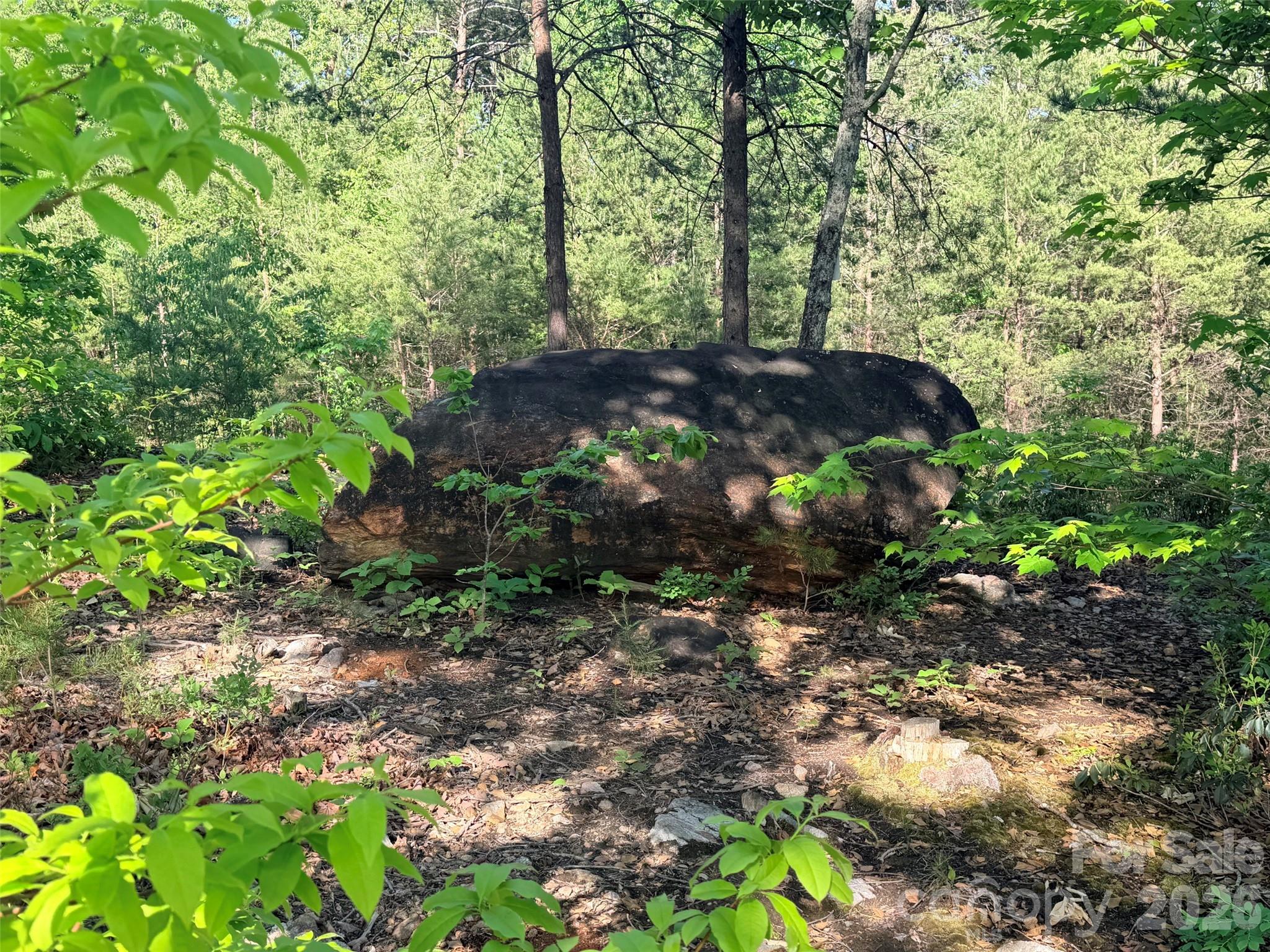 Lot 11 Brookside Parkway Lake Lure NC 28746