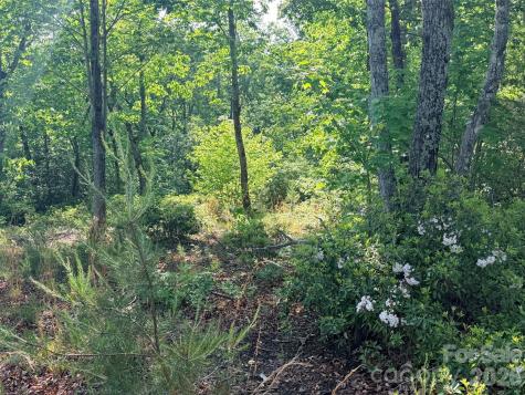 Lot 11 Brookside Parkway Lake Lure NC 28746