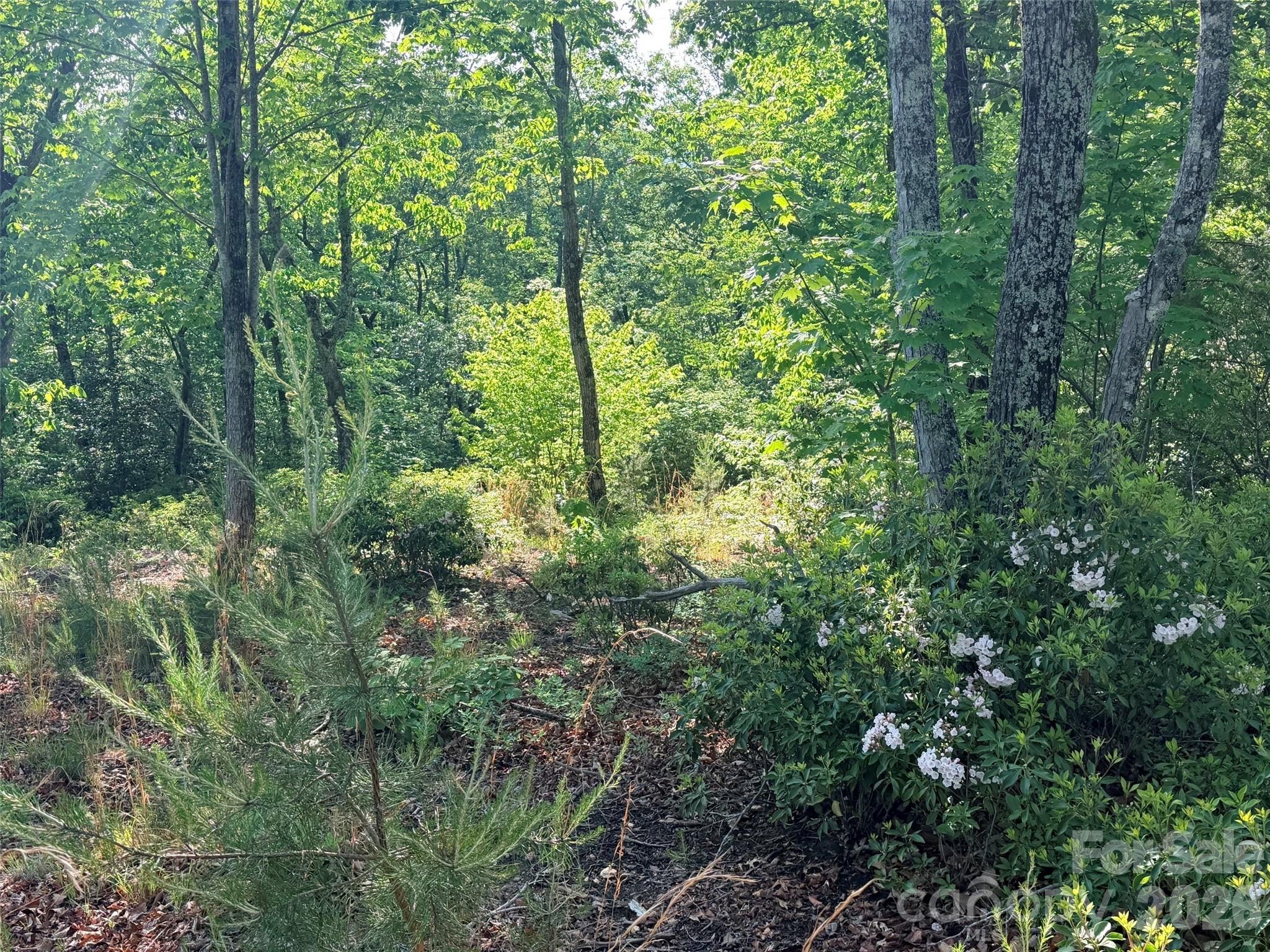 Lot 11 Brookside Parkway Lake Lure NC 28746