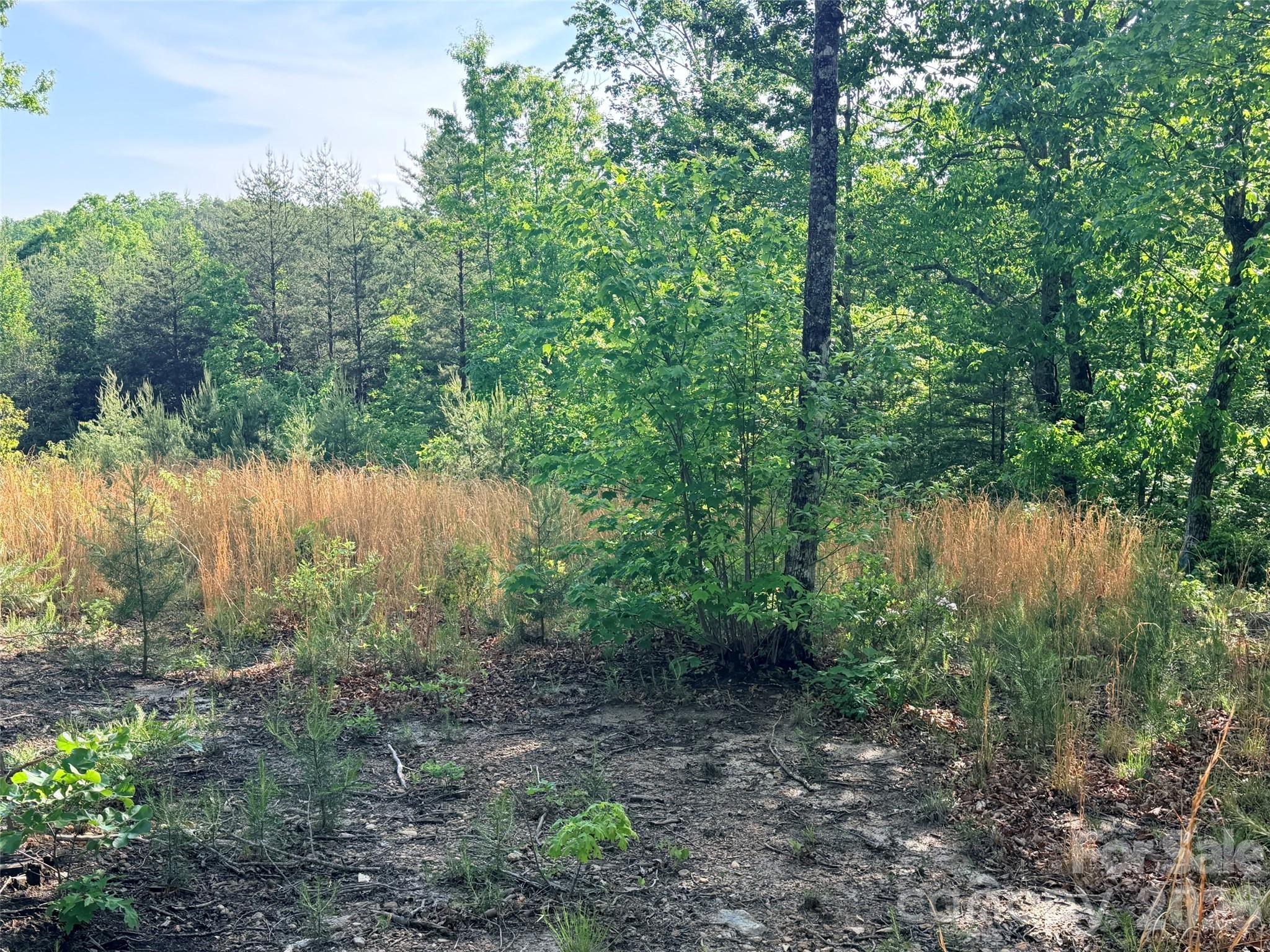 Lot 11 Brookside Parkway Lake Lure NC 28746