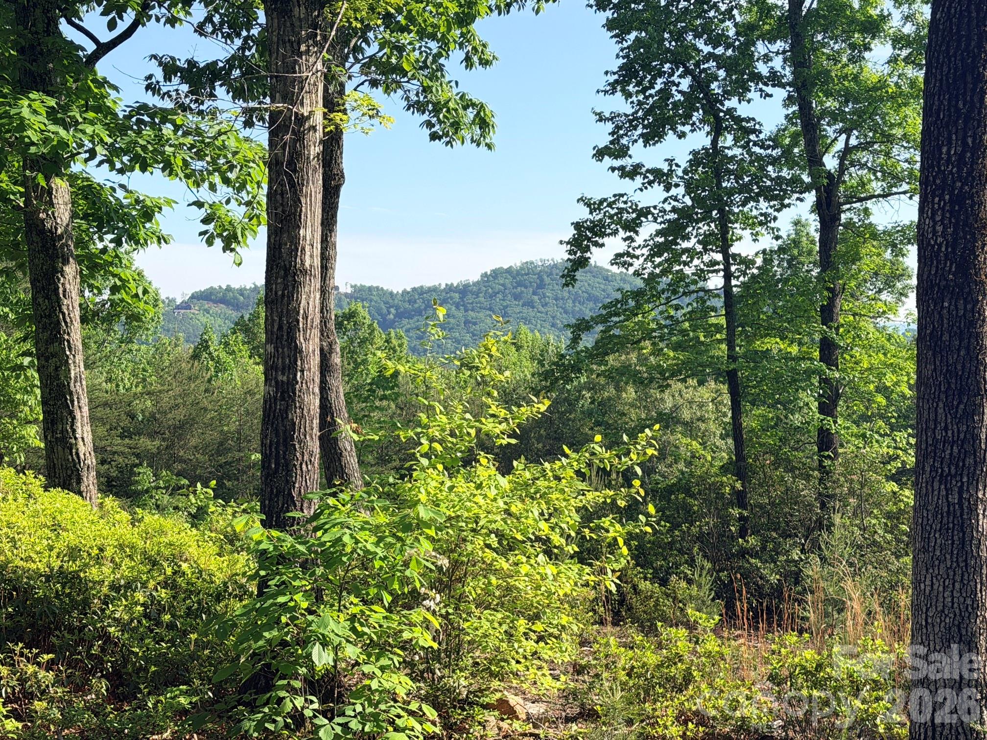 Lot 11 Brookside Parkway Lake Lure NC 28746