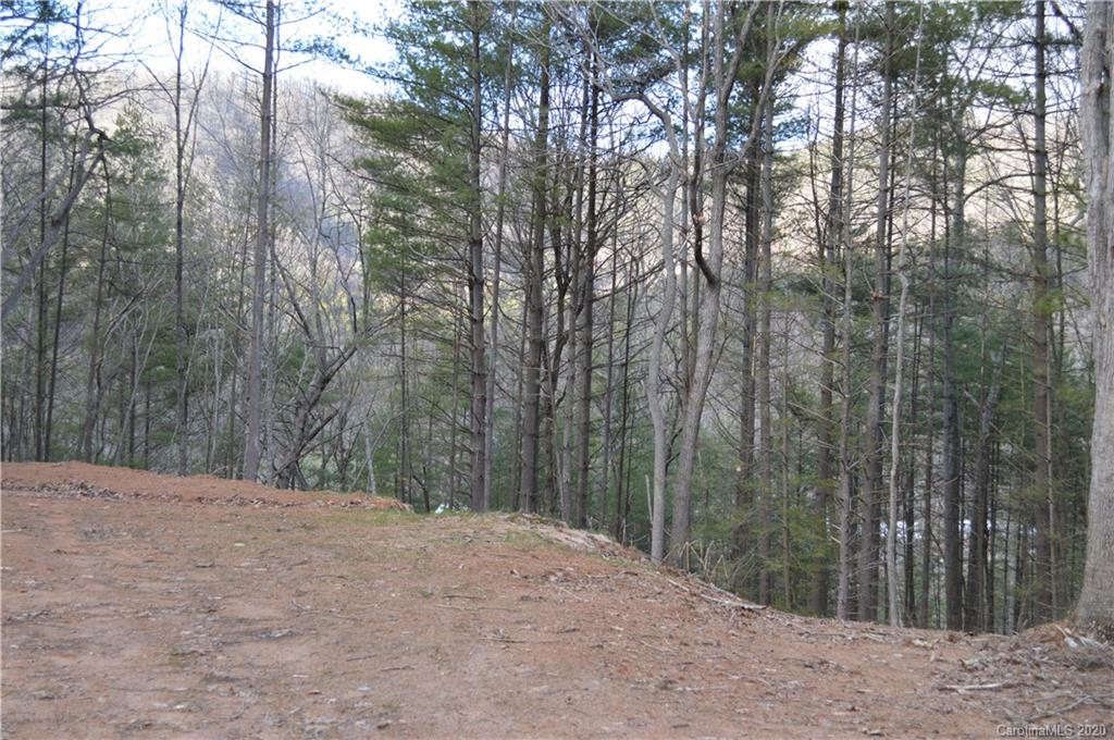 47 Webb Cove Road Asheville NC 28804