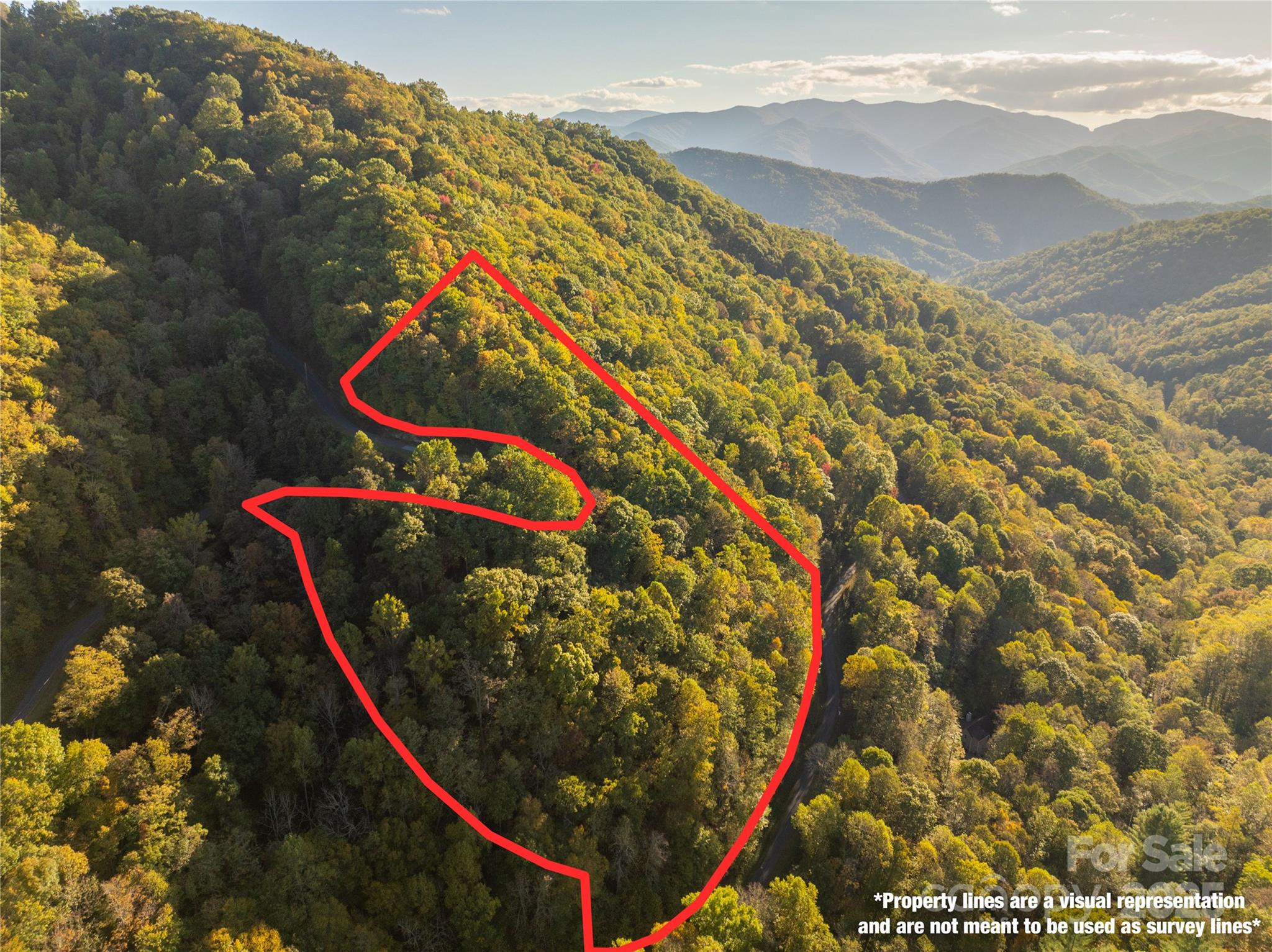 Lot 39 Brush Creek Mountain Road Bryson City NC 28713