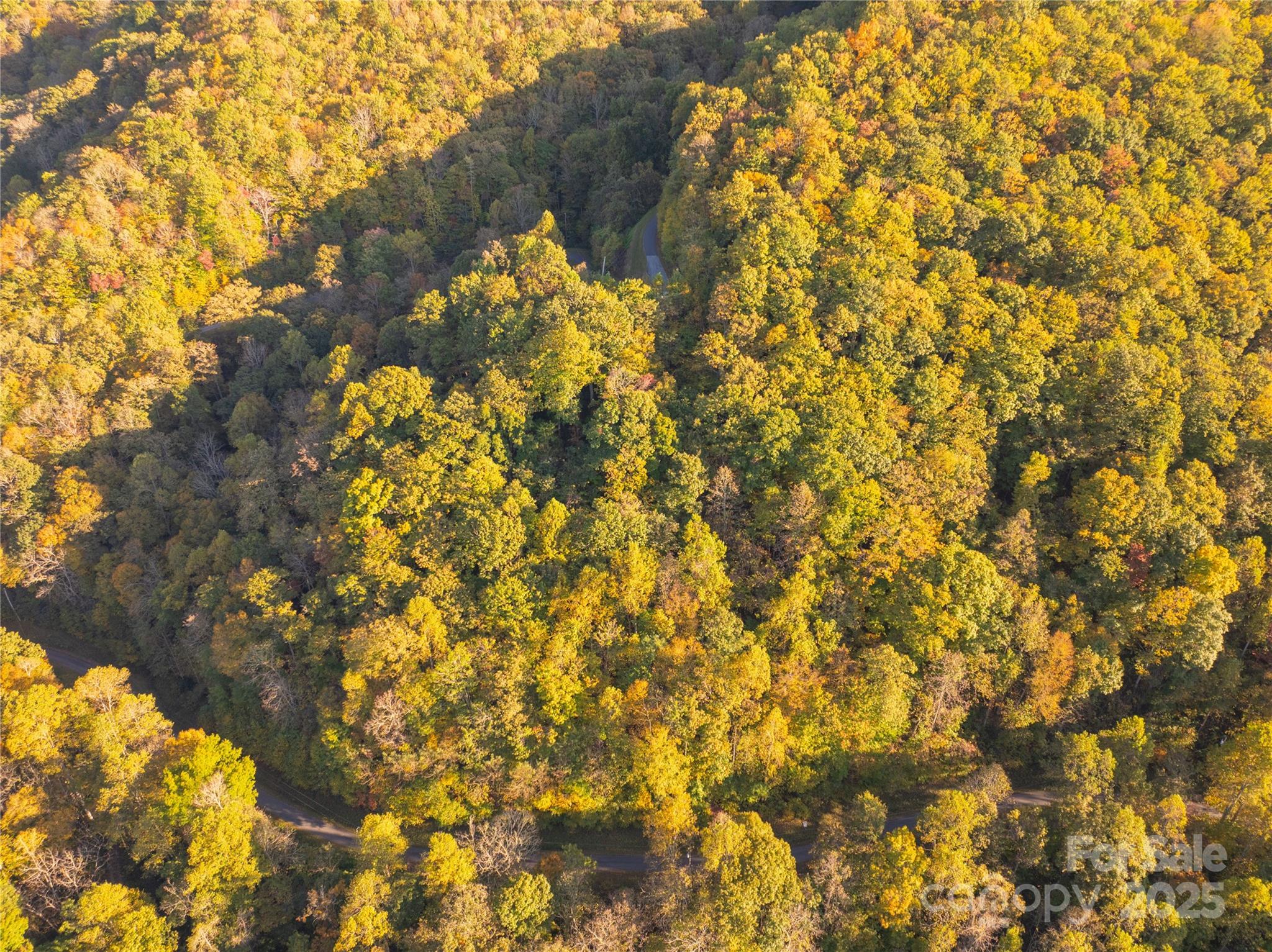 Lot 39 Brush Creek Mountain Road Bryson City NC 28713