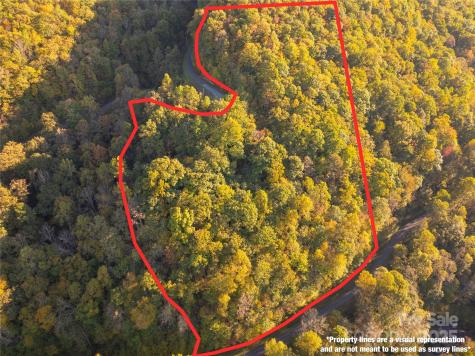 Lot 39 Brush Creek Mountain Road Bryson City NC 28713