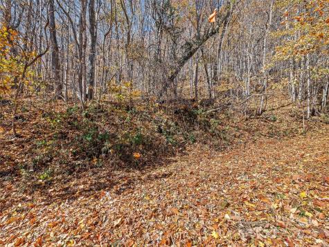 83.69 Acres Hummingbird Lane Waynesville NC 28786