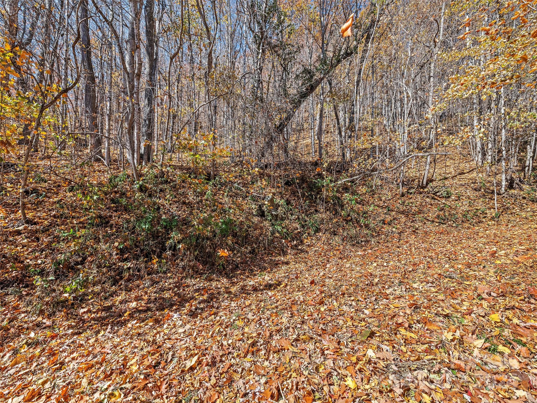 83.69 Acres Hummingbird Lane Waynesville NC 28786