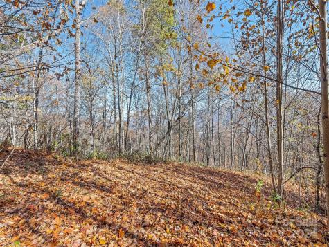 83.69 Acres Hummingbird Lane Waynesville NC 28786