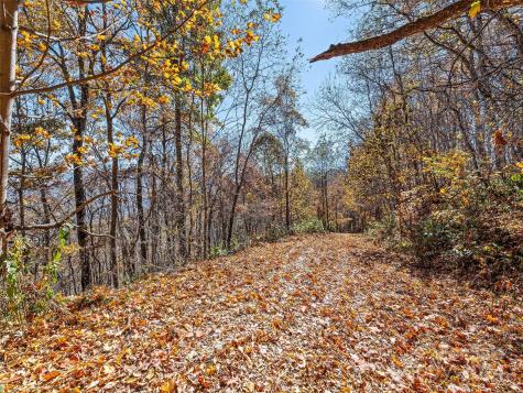 83.69 Acres Hummingbird Lane Waynesville NC 28786