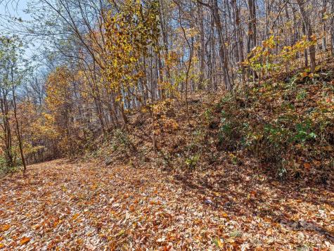 83.69 Acres Hummingbird Lane Waynesville NC 28786