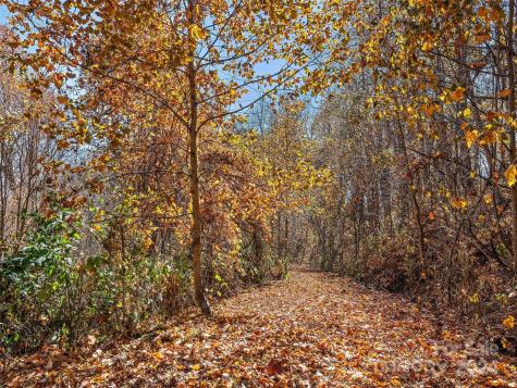 83.69 Acres Hummingbird Lane Waynesville NC 28786