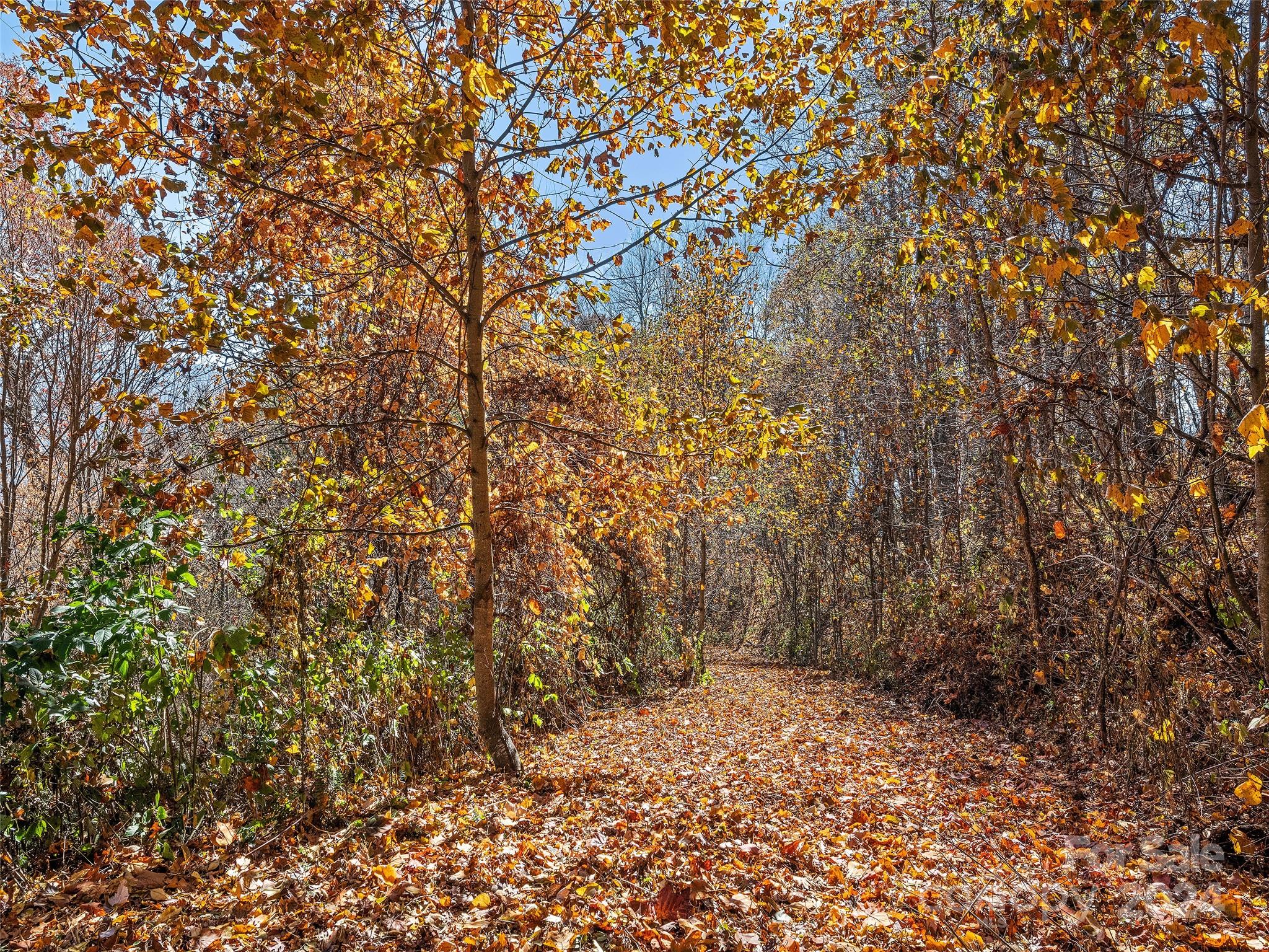 83.69 Acres Hummingbird Lane Waynesville NC 28786
