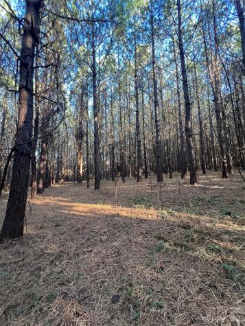 678 Turnersburg Highway Statesville NC 28625