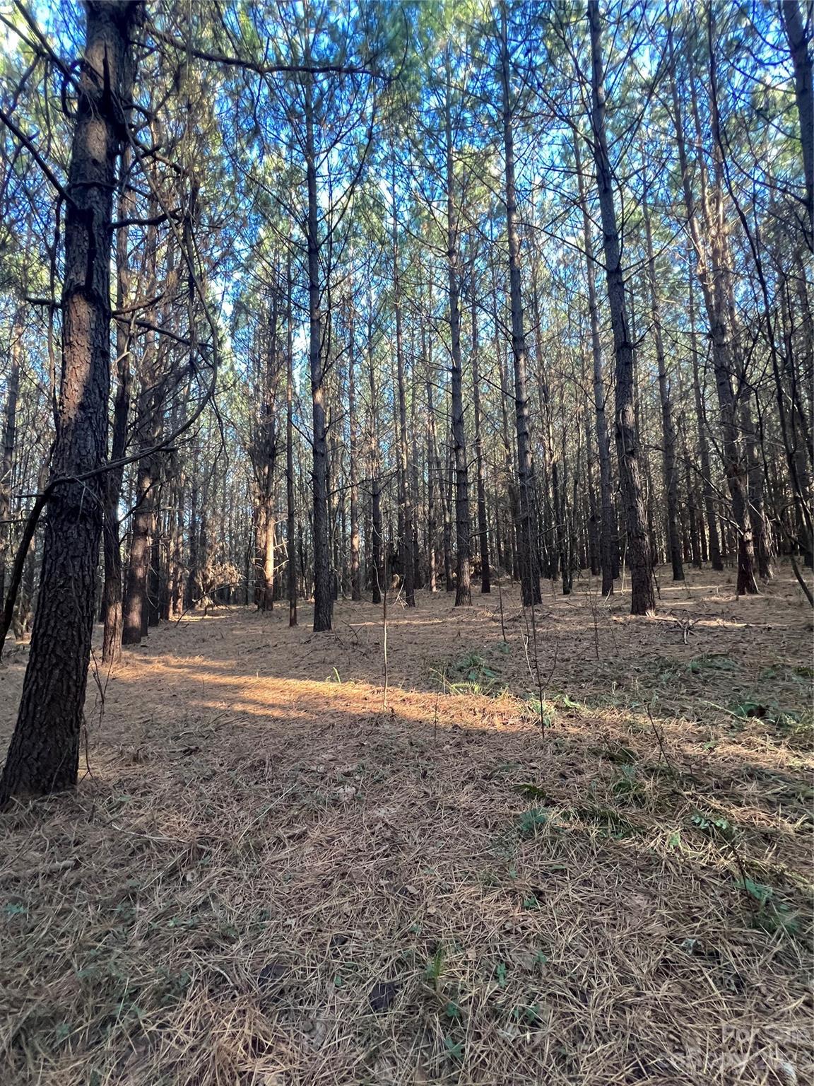678 Turnersburg Highway Statesville NC 28625