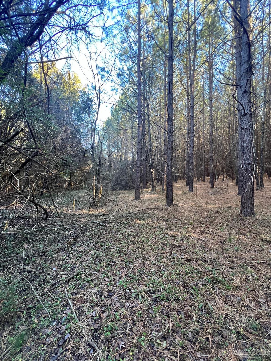 678 Turnersburg Highway Statesville NC 28625