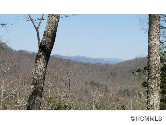 75 Smokey Ridge Trail Arden NC 28704