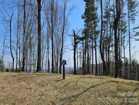 189 Dancing Bear Drive Hendersonville NC 28792