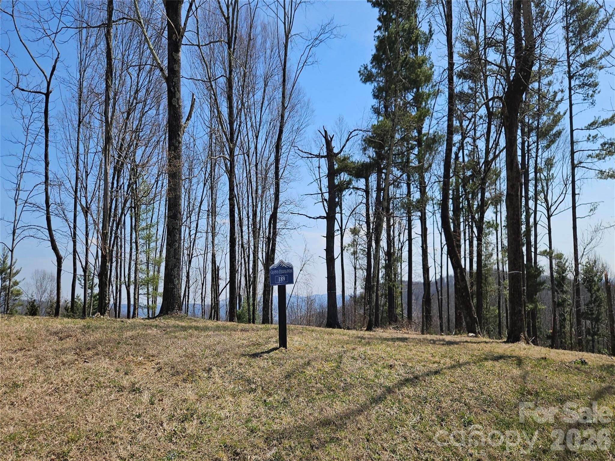 189 Dancing Bear Drive Hendersonville NC 28792