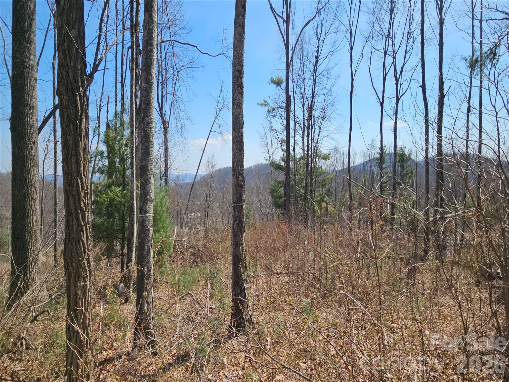 189 Dancing Bear Drive Hendersonville NC 28792