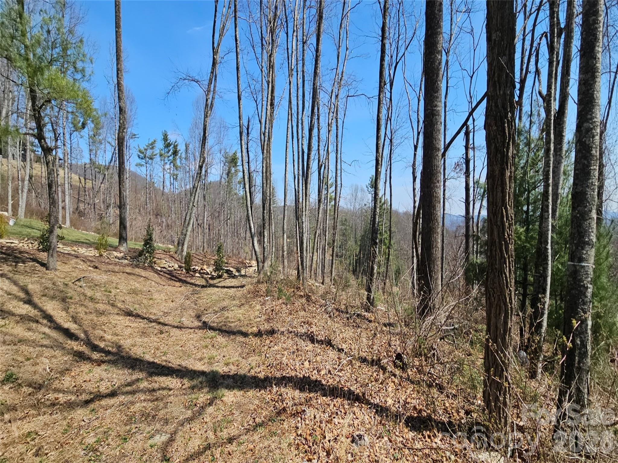 189 Dancing Bear Drive Hendersonville NC 28792