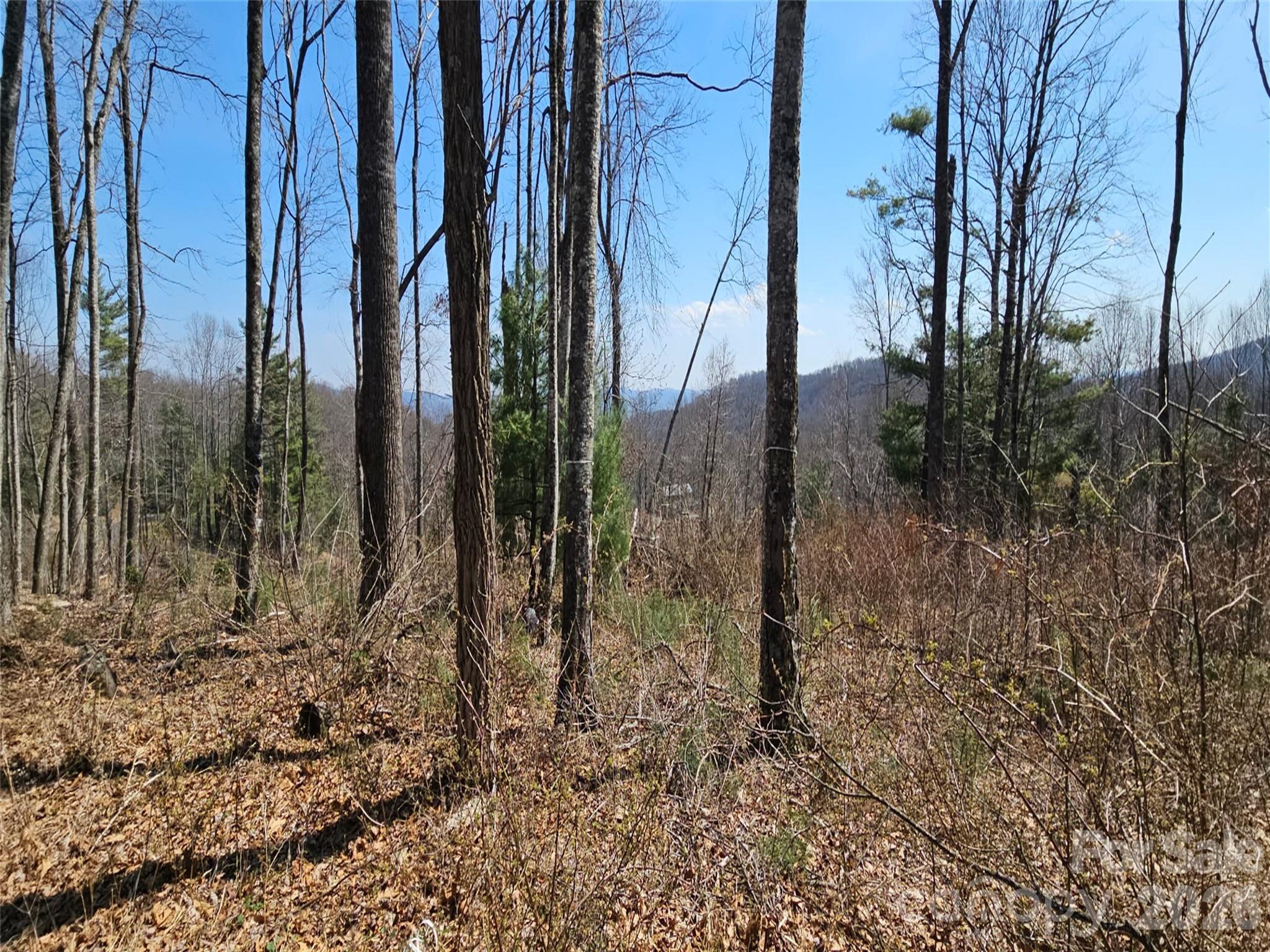 189 Dancing Bear Drive Hendersonville NC 28792