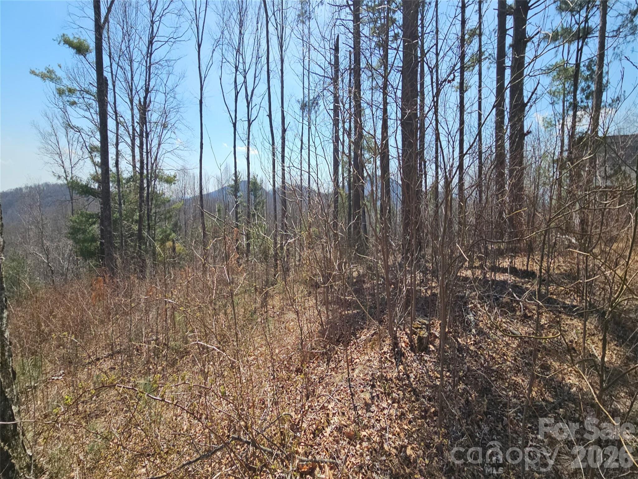 189 Dancing Bear Drive Hendersonville NC 28792