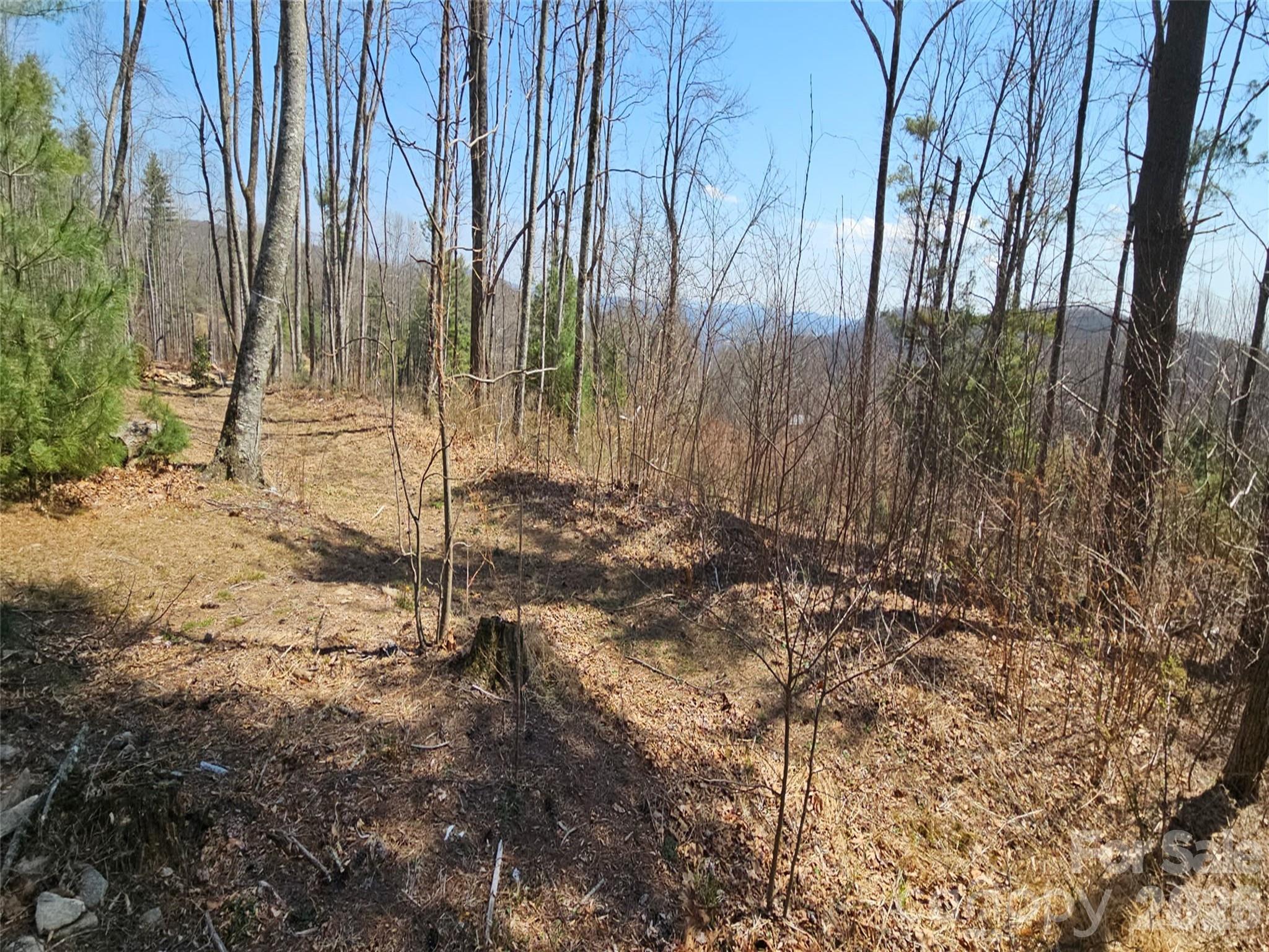 189 Dancing Bear Drive Hendersonville NC 28792