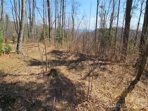 189 Dancing Bear Drive Hendersonville NC 28792