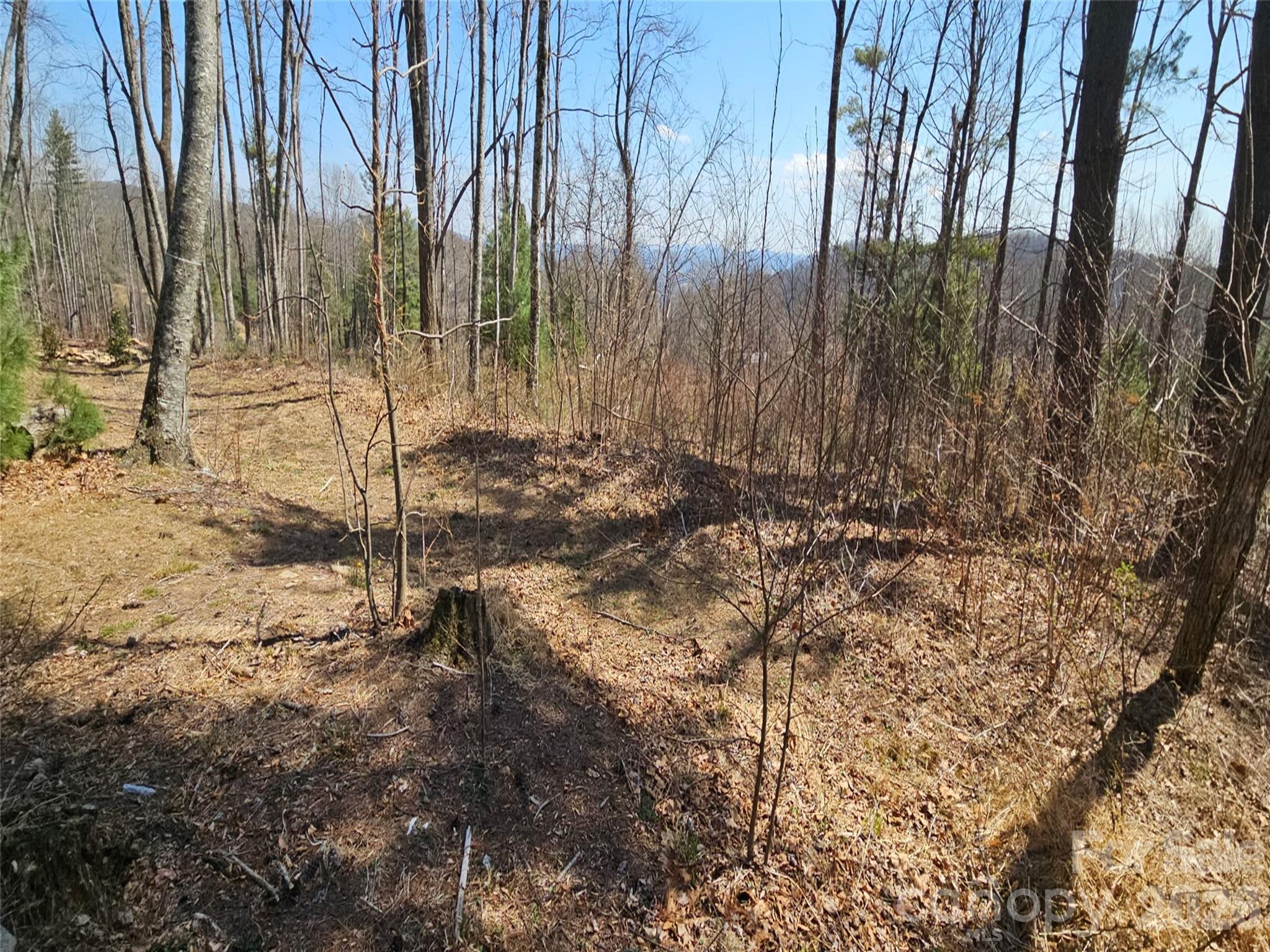 189 Dancing Bear Drive Hendersonville NC 28792