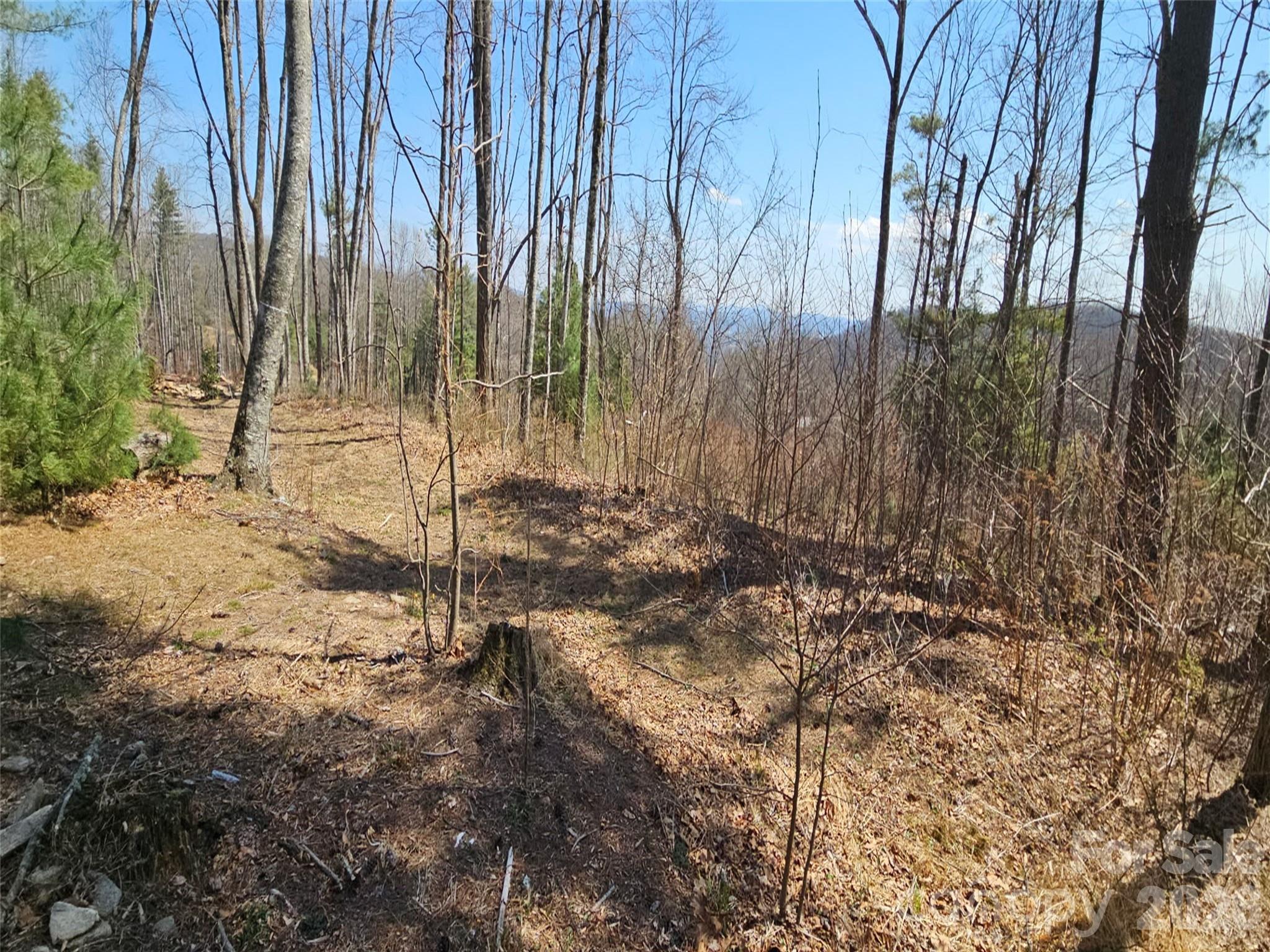 189 Dancing Bear Drive Hendersonville NC 28792