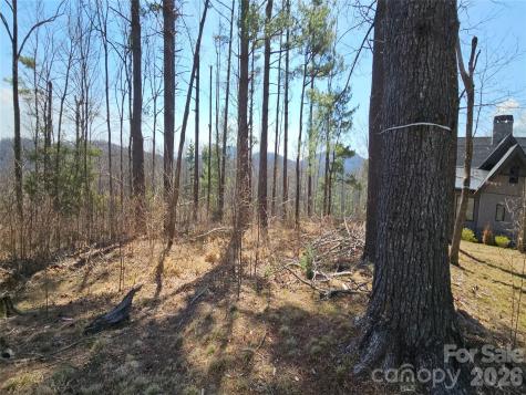 189 Dancing Bear Drive Hendersonville NC 28792