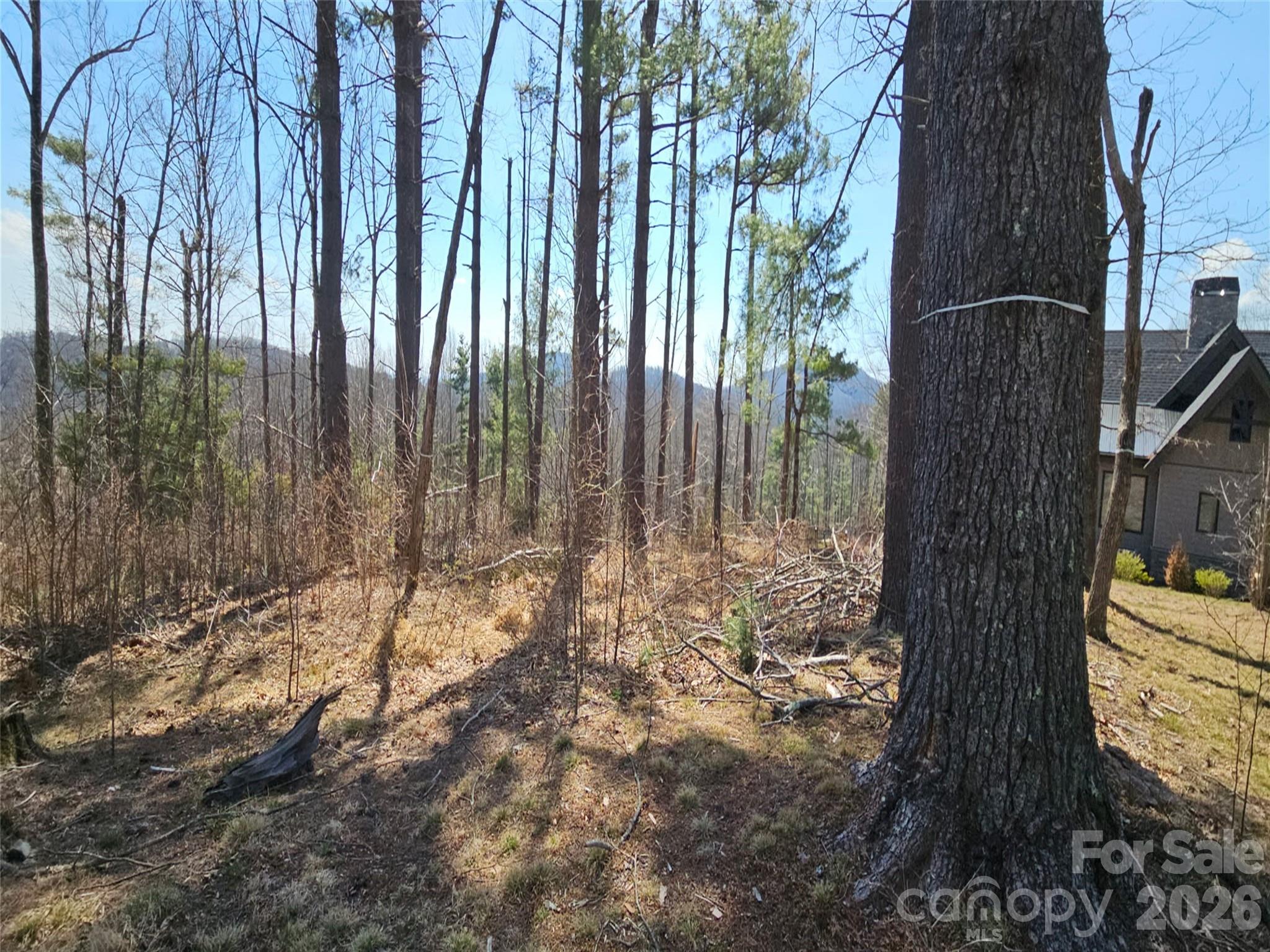 189 Dancing Bear Drive Hendersonville NC 28792