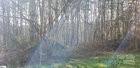 00 Lockhart Circle Landrum SC 29356