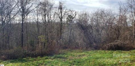 00 Lockhart Circle Landrum SC 29356