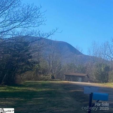 00 Lockhart Circle Landrum SC 29356