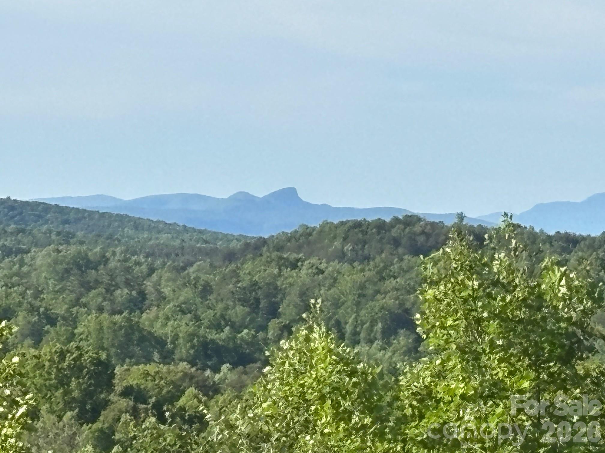Tbd Vein Mountain Road Nebo NC 28761