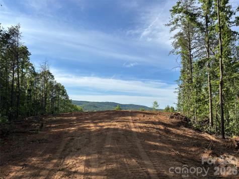 Tbd Vein Mountain Road Nebo NC 28761