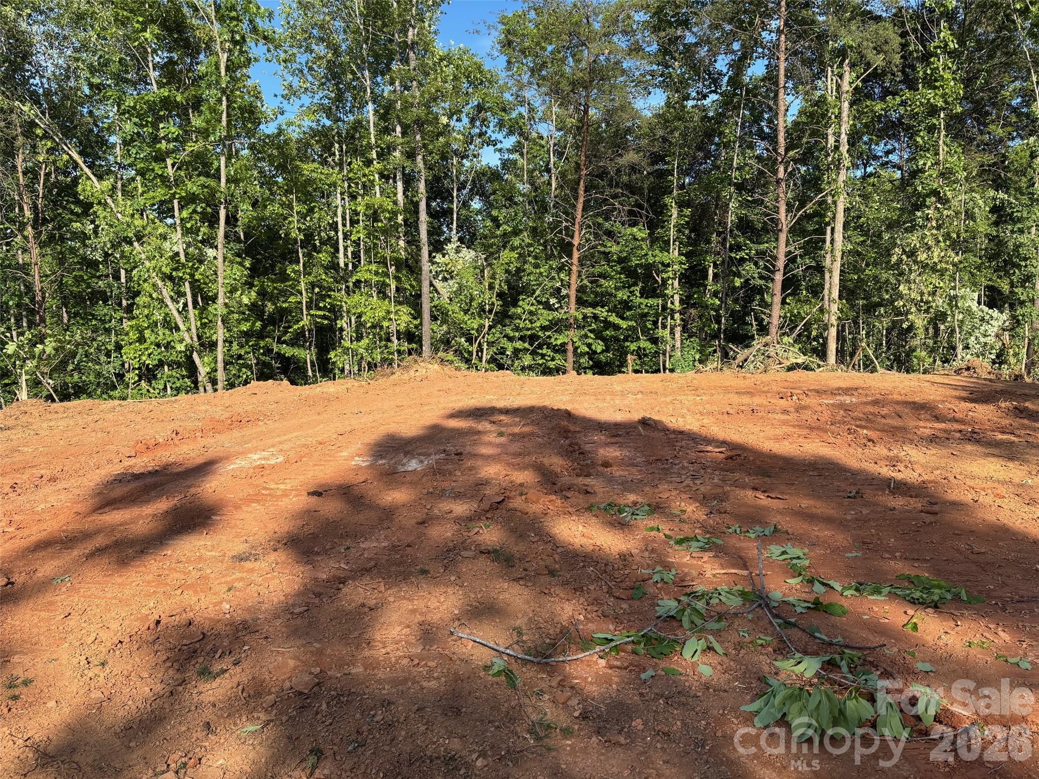Tbd Vein Mountain Road Nebo NC 28761