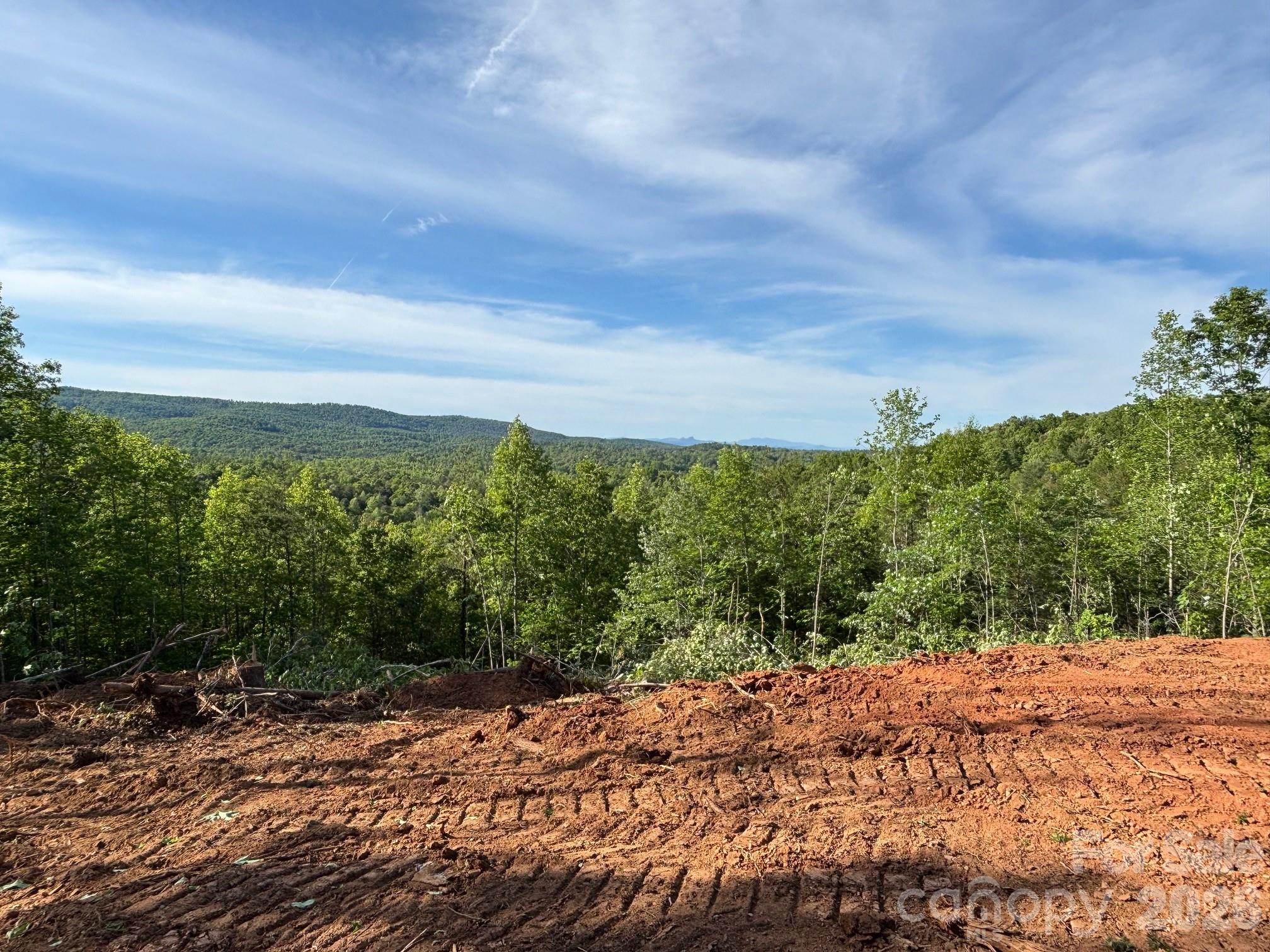 Tbd Vein Mountain Road Nebo NC 28761