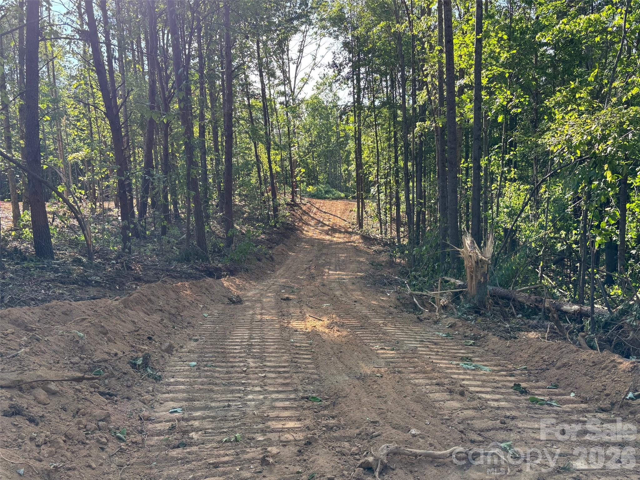 Tbd Vein Mountain Road Nebo NC 28761