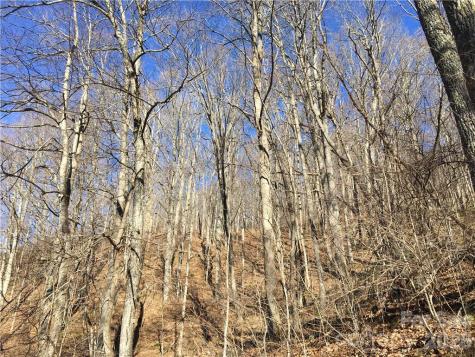 99999 Red Oak Forest Road Fairview NC 28730